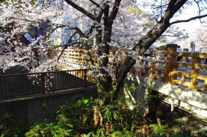 板橋