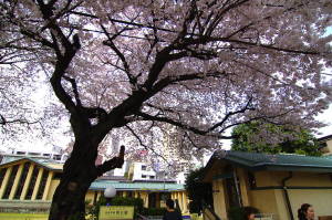 自由学園