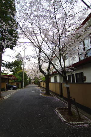 徳川ヴィレッジ